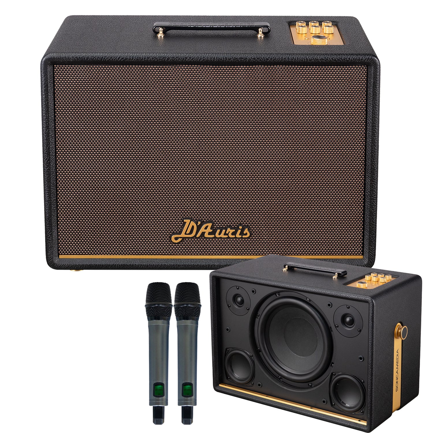 KBEATBOX D'Auris 300 – Premium Karaoke Sound System | 200W RMS | Wireless Mics