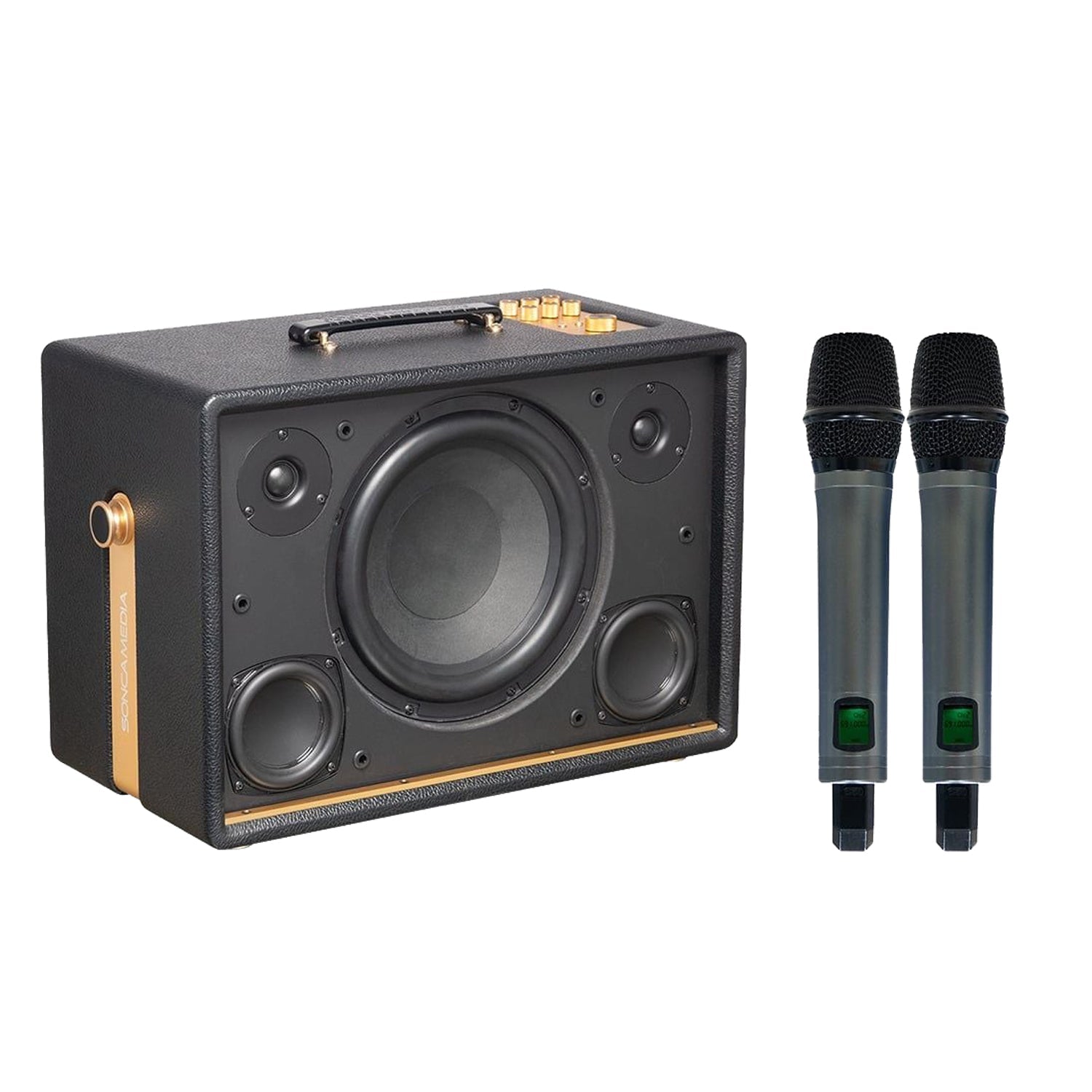 KBEATBOX D'Auris 300 – Premium Karaoke Sound System | 200W RMS | Wireless Mics - Karaoke Home Entertainment
