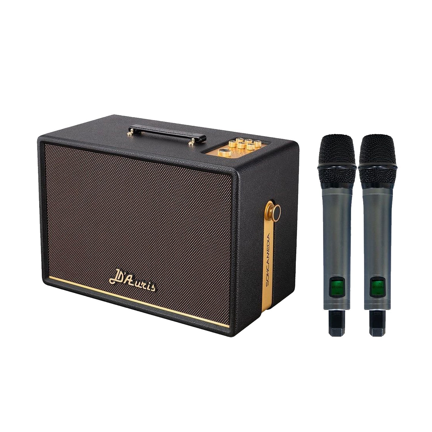 KBEATBOX D'Auris 300 – Premium Karaoke Sound System | 200W RMS | Wireless Mics - Karaoke Home Entertainment