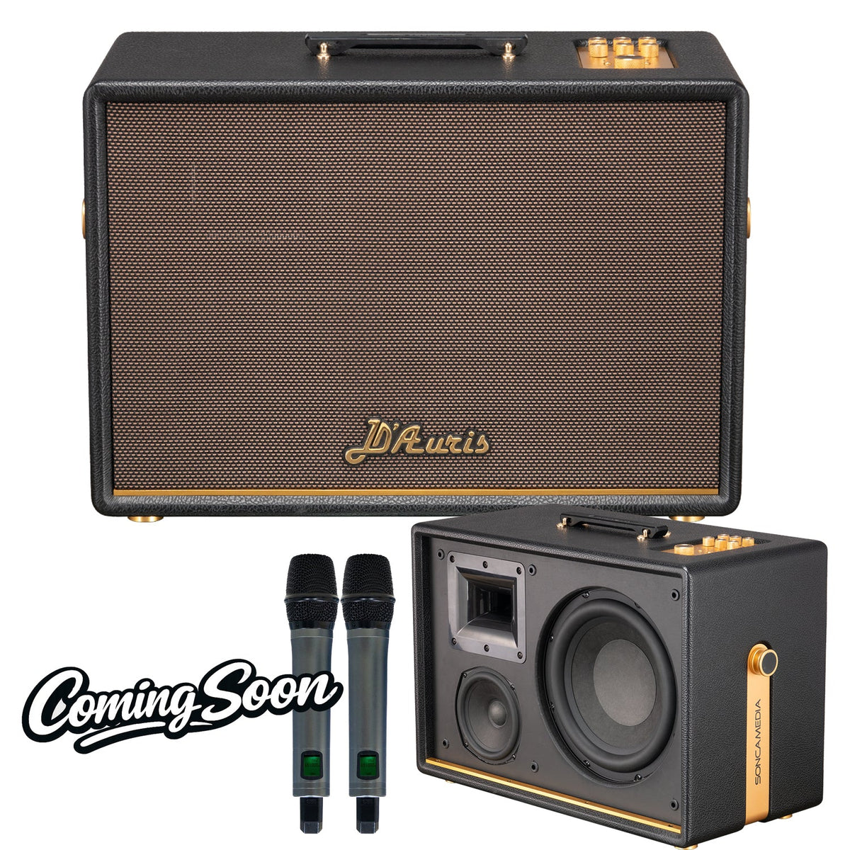 Soncamedia D’Auris 500 Karaoke System | 500W RMS | Wireless Microphones - Karaoke Home Entertainment