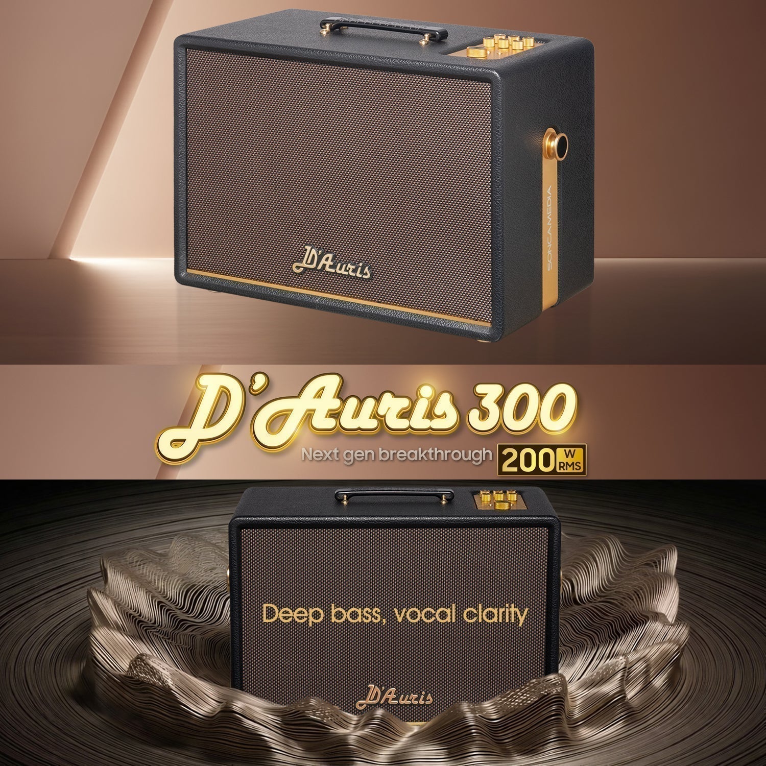 The D'Auris 300 from KBEATBOX, Premium Karaoke Powered Speaker System