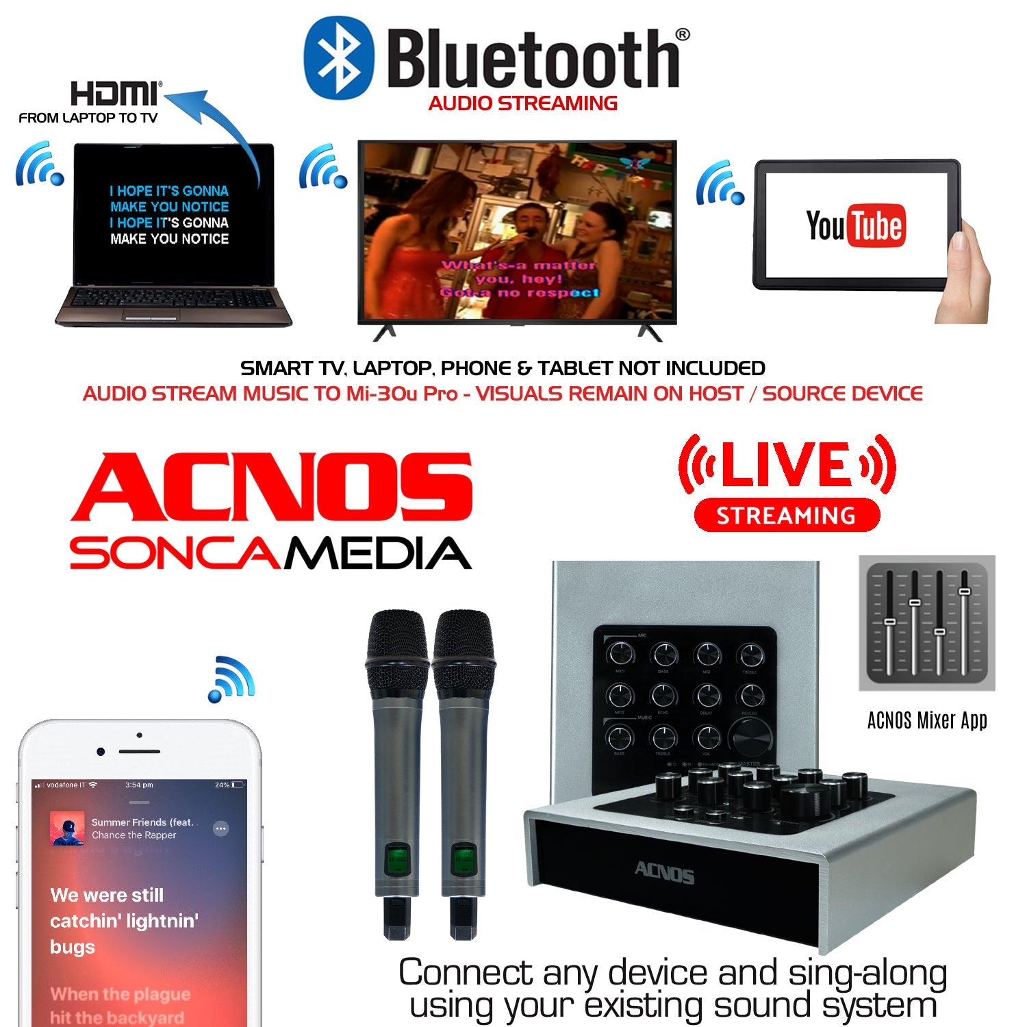 ACNOS Mi - 30u PRO Karaoke Enhancer Mixer + 2 UHF Wireless Microphones - Karaoke Home Entertainment