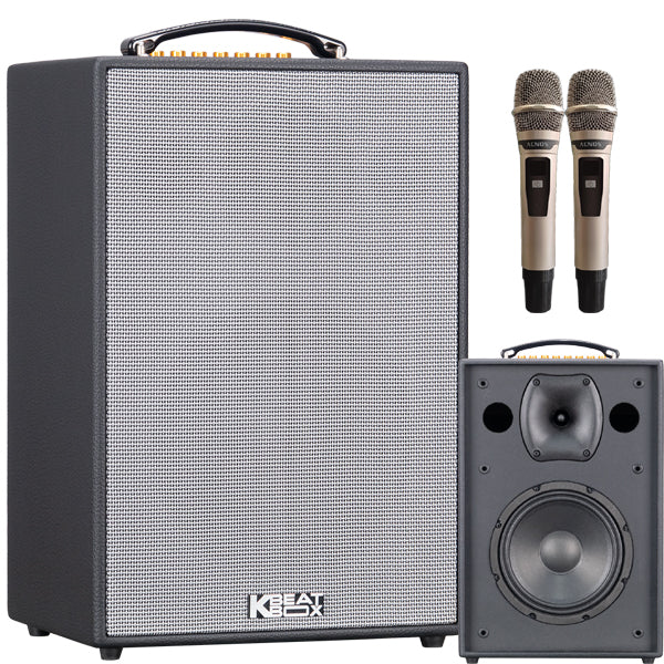 KBEATBOX CS-286Plus 8-Inch Woofer Karaoke Speaker System with Wireless Microphones