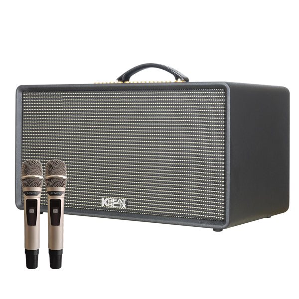 Black FLAC 36 Karaoke Powered Speaker