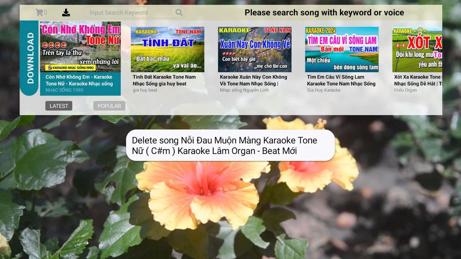 How To Connect Guide - KBeatBox Hi - NET450 Gen2 & Firmware Update - Karaoke Home Entertainment