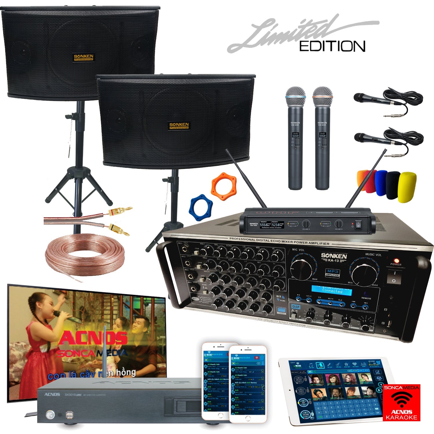 Sonken Home Karaoke Studio Package Deal (KA-13 Amp + CS-450 (10") Speakers + WM-800D Wireless Mics + SK9018PLUS Vietnamese HDD) - Karaoke Home Entertainment